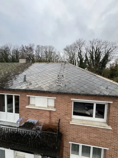 Gros nettoyage sur cette toiture en ardoise à Saint-Laurent-de-Langy, Arras, LGF CLEANER