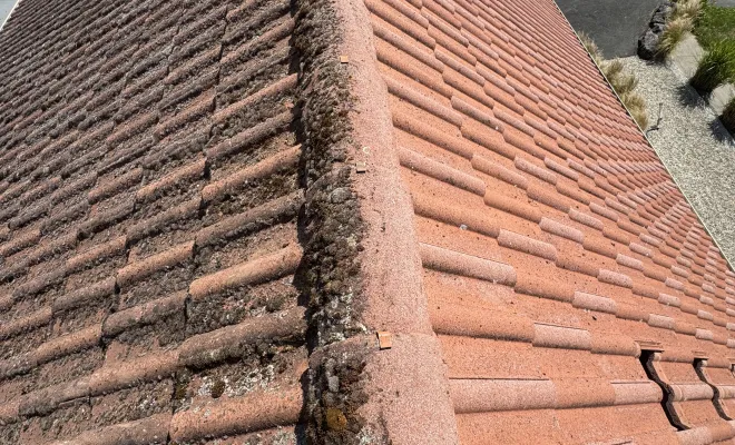 nouvelle prestation de nettoyage écologique à croisille, Arras, LGF CLEANER