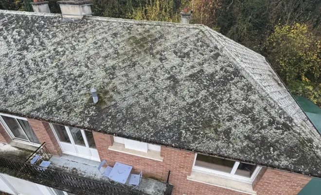 Gros nettoyage sur cette toiture en ardoise à Saint-Laurent-de-Langy, Arras, LGF CLEANER