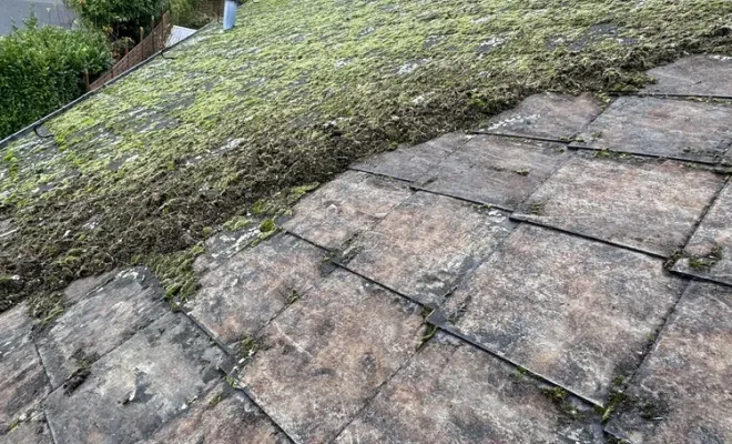 Gros nettoyage sur cette toiture en ardoise à Saint-Laurent-de-Langy, Arras, LGF CLEANER
