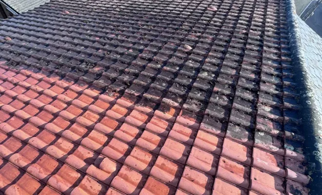 Démoussage et entretien complet ,Bucquoy 62, Arras, LGF CLEANER
